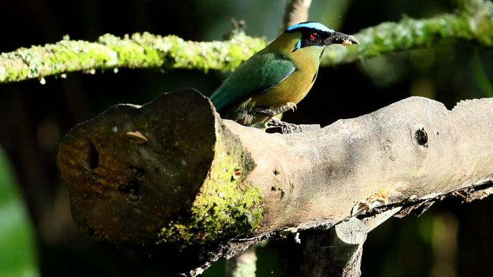 El tiempo - Intervalos de viento fuerte en el litoral de Galicia, sur de Tarragona y norte de Castellón