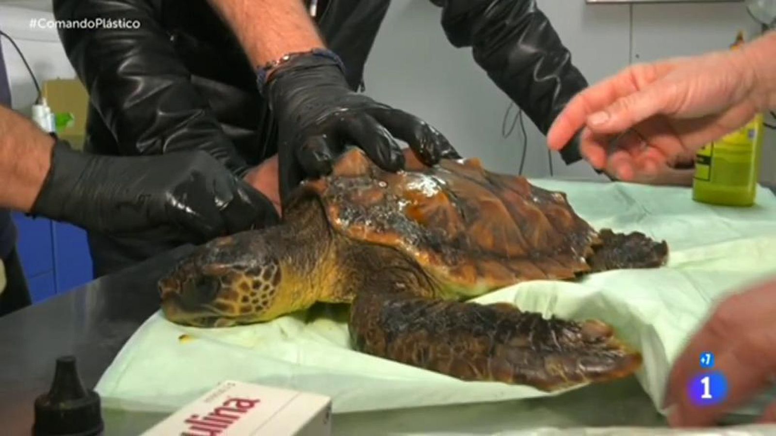 Comando Actualidad - Guerra al plástico - Microplásticos en la sal