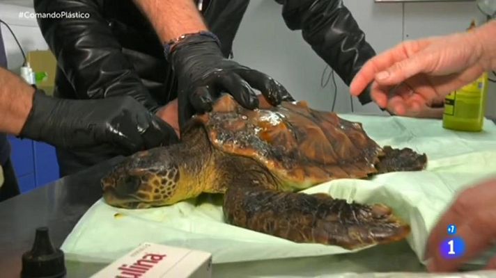 Comando Actualidad - Guerra al plástico - Microplásticos en la sal