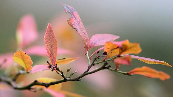 El tiempo - El tiempo estable predominará en España pero el oleaje pondrá en aviso a 5 provincias