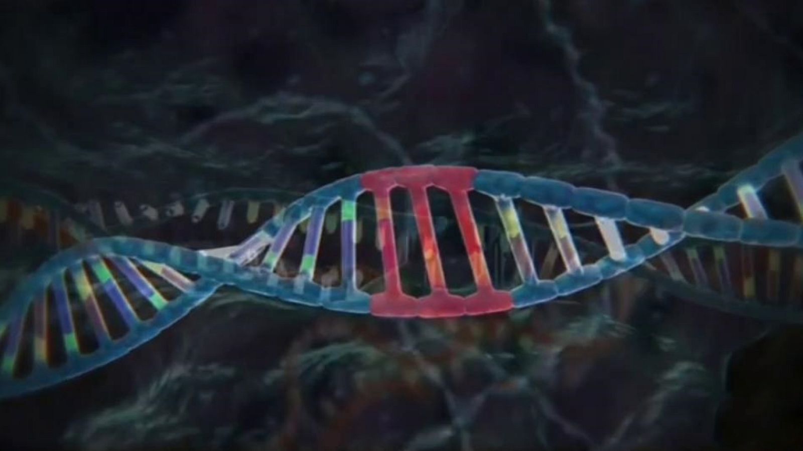 La tarde en 24 horas - La Barra - Ciencia - 27/11/18 - ver ahora