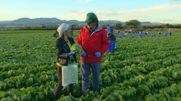 Aquí la Tierra - Catamos lechugas, para todos los gustos