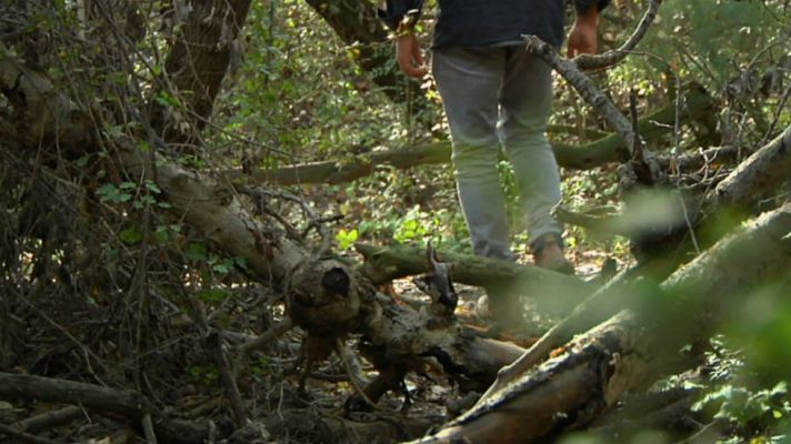 Aquí la Tierra - Luismi y el bosque galería