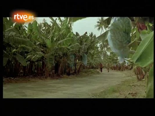 Días de cine - 'Rudo y cursi'