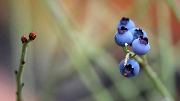 Informativo de Madrid - El Tiempo en la Comunidad de Madrid - 28/11/18