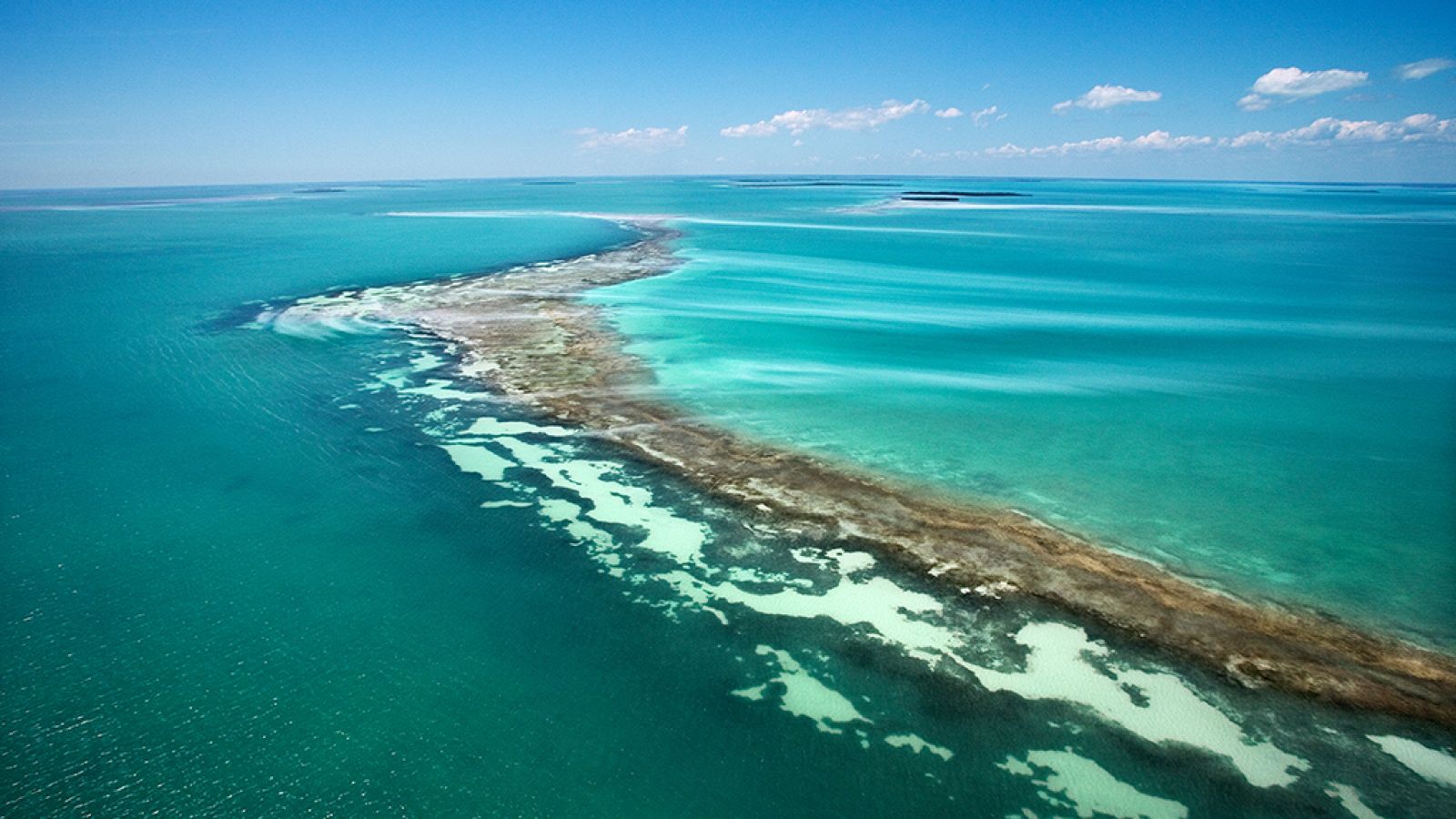 Grandes documentales - Las islas más salvajes: El Caribe, el lado salvaje del Paraíso - ver ahora