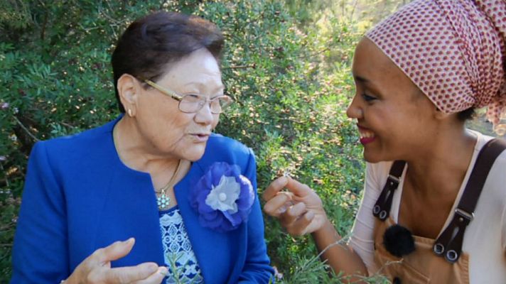 Aquí la Tierra - Sabiduría campestre en Ibiza