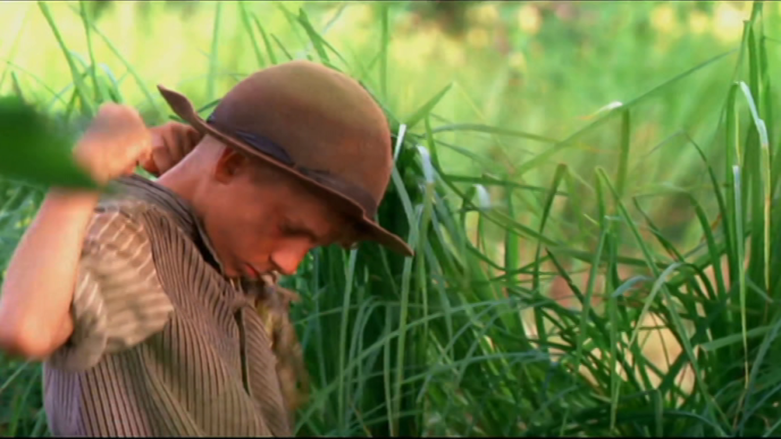 Días de cine clásico - Novecento (presentación) - ver ahora