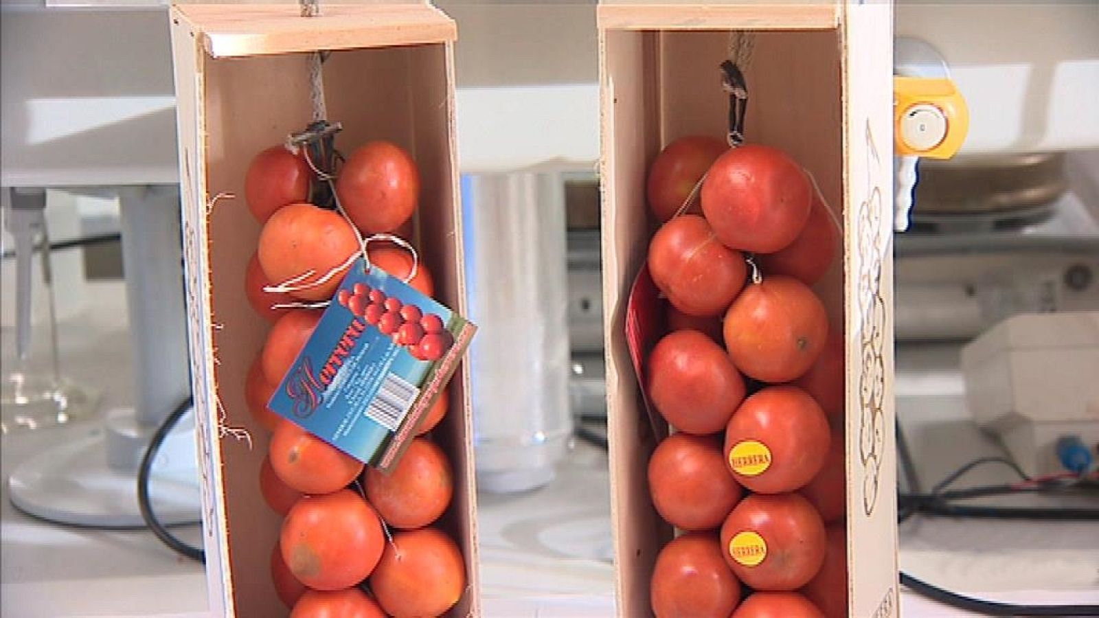 La Comunidad Valenciana en 2' - 29/11/18 - ver ahora