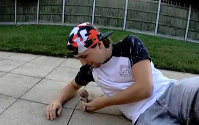 Telediario 1 - Dalas Review se enfrenta a 5 años prisión acusado de abusar