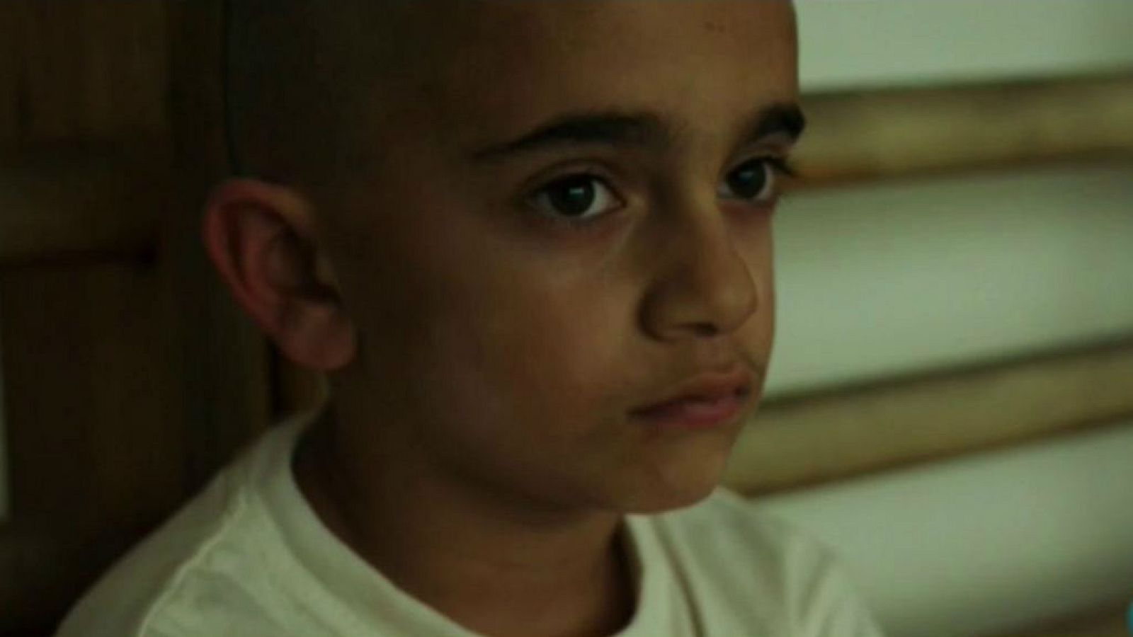 Días de cine - Génezis