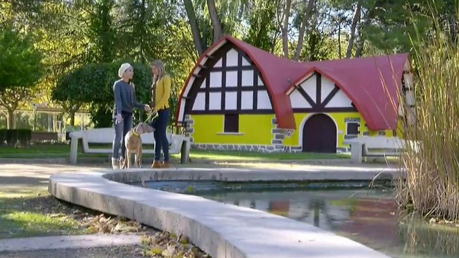 Arranca en verde - Huesca - ver ahora