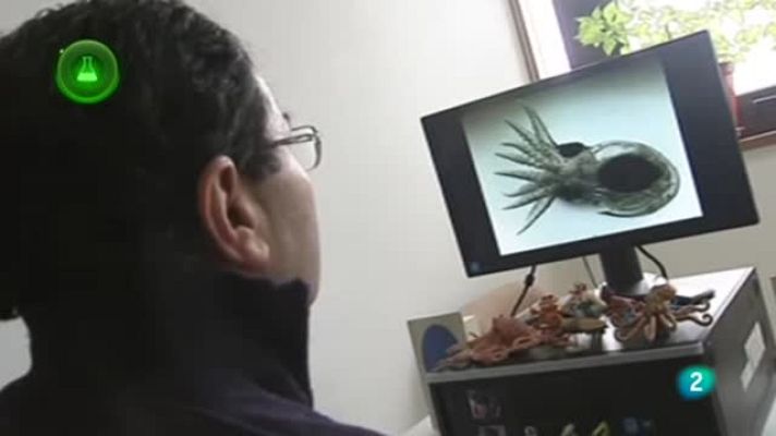 Agrosfera - Investigación pulpo