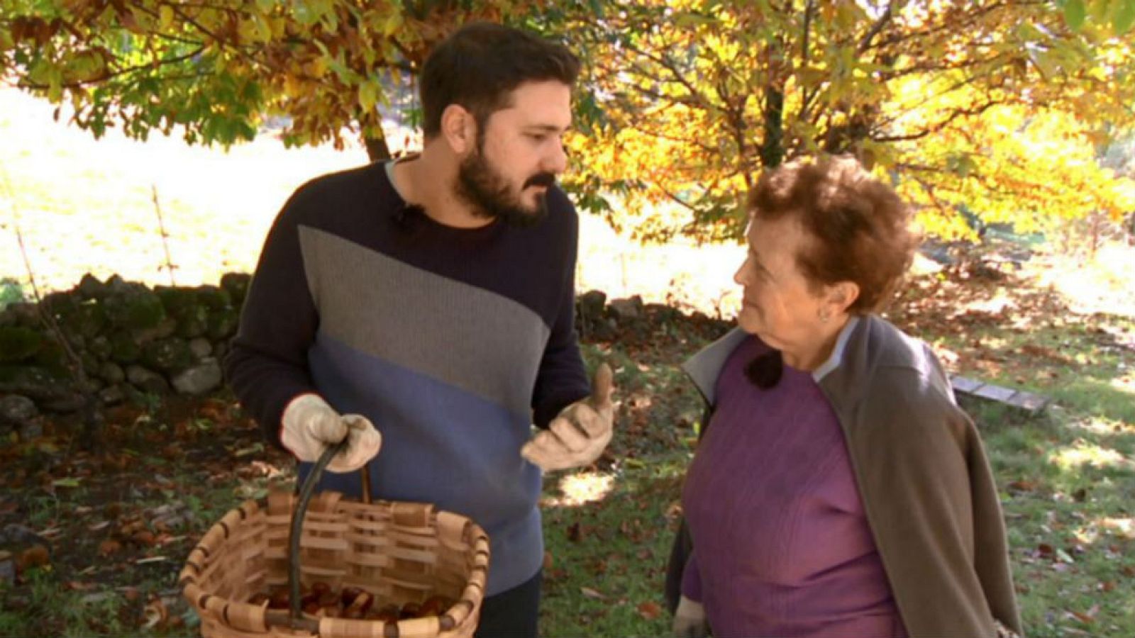 Castañas, sinónimo de otoño