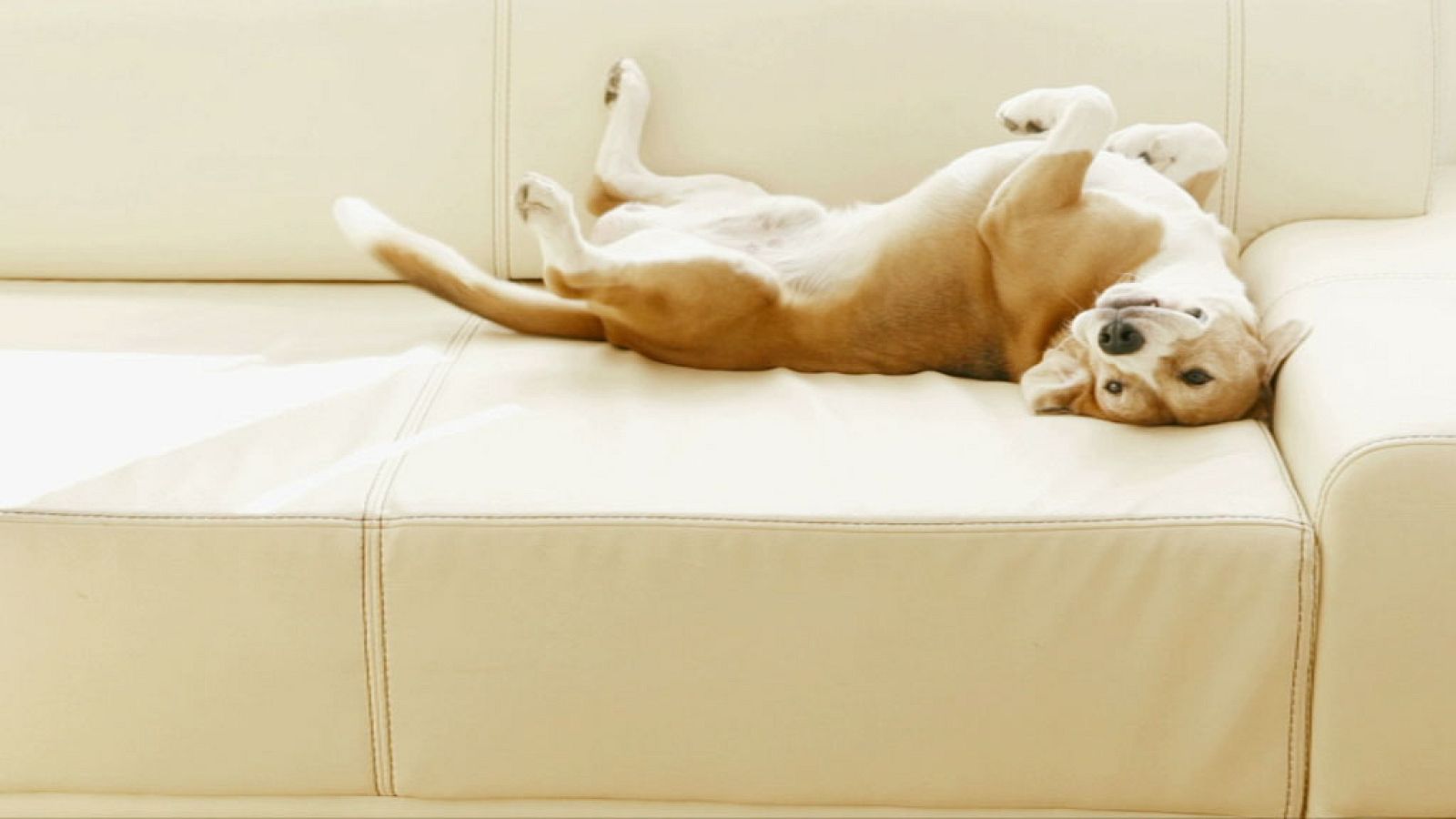 ¡Relájate con Club Clan! - Club Clan | Ver