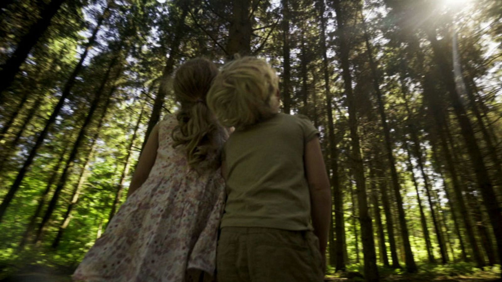 Los bosques son de todos...¡cuídalos! - Club Clan | Ver