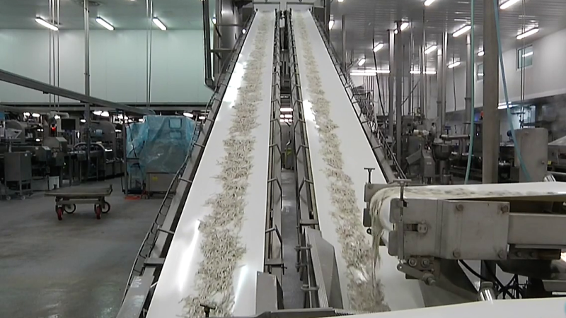 Fábrica de ideas - Imita: Angulas Aguinaga | Ver