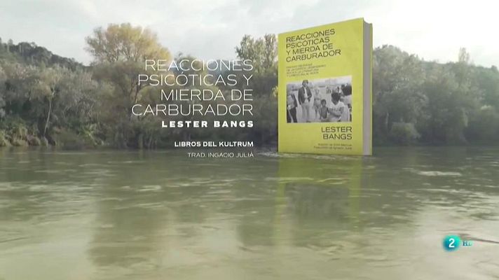 Página Dos - La buscadora de setas; Reacciones psicóticas