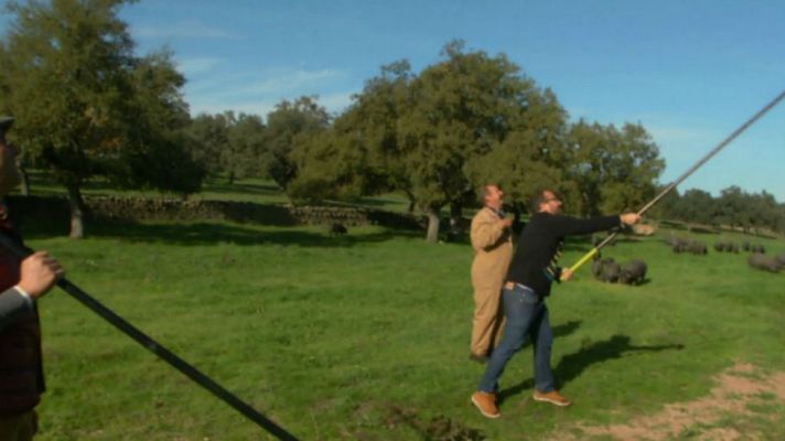 Aquí la Tierra - Las chuches de los "pata negra"