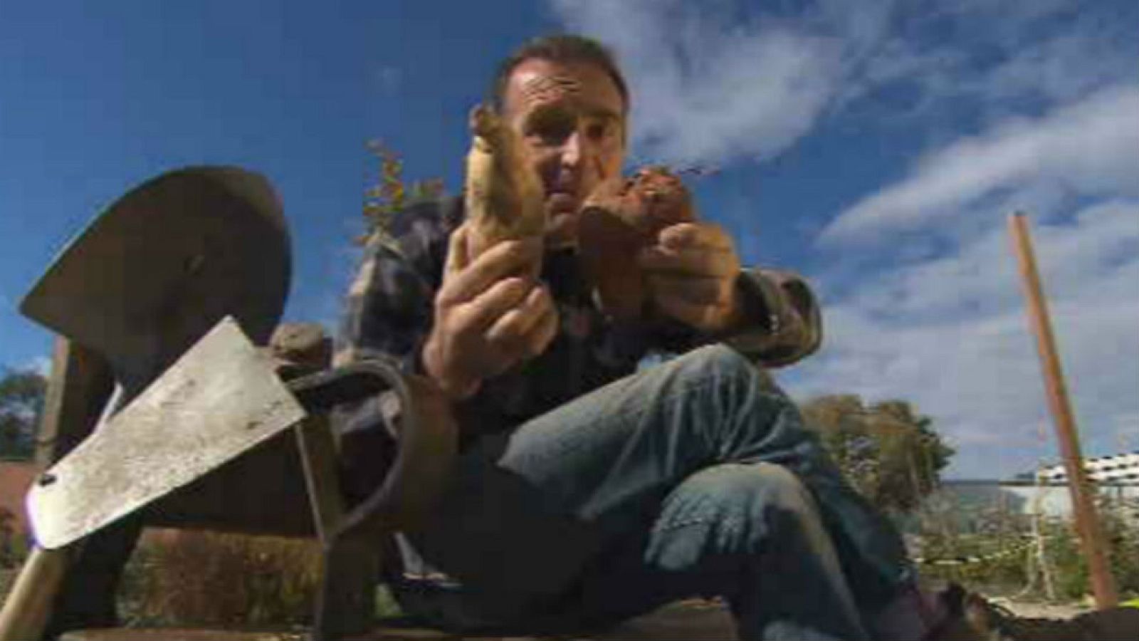 Entre boniatos y batatas... ¿o es lo mismo?