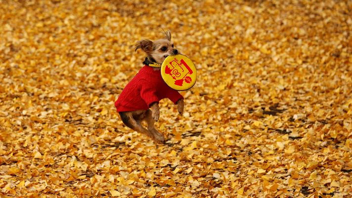 El tiempo - Vientos fuertes en el litoral norte de Galicia y el litoral cantábrico