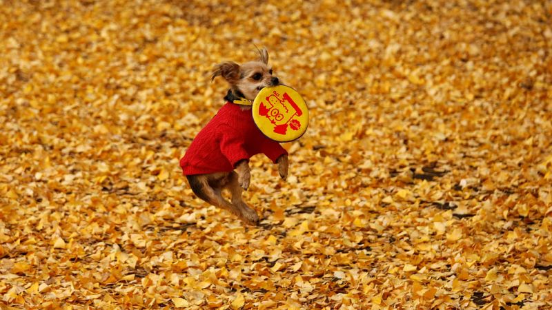 Vientos fuertes en el litoral norte de Galicia y el litoral cantábrico