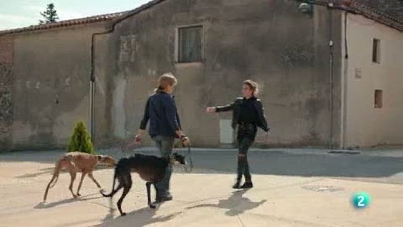 La meva mascota i jo - Visitem l'associaci� "Galgas del Mar"