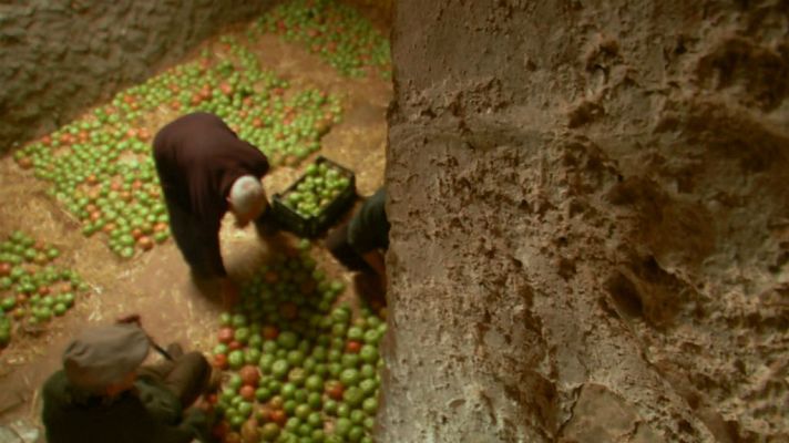 Aquí la Tierra - Tomates, resguardados del frío