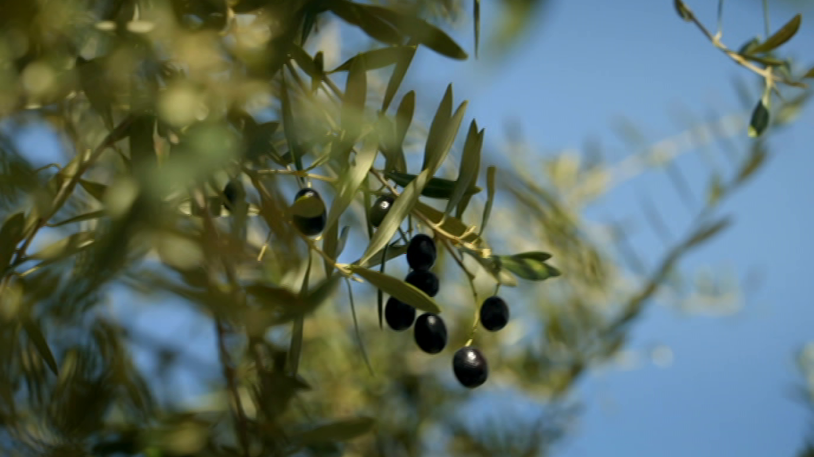 Las rutas de Verónica - Murcia noroeste - ver ahora