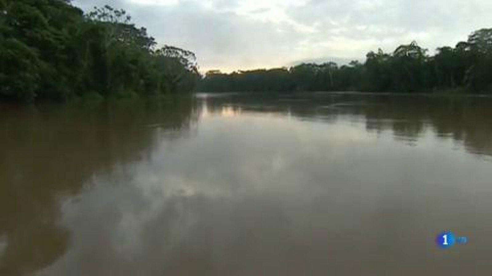 Informe Semanal - El grito de la Amazonia - ver ahora