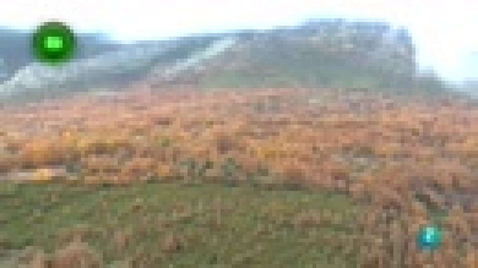 Turismo rural, Valverde de los Arroyos