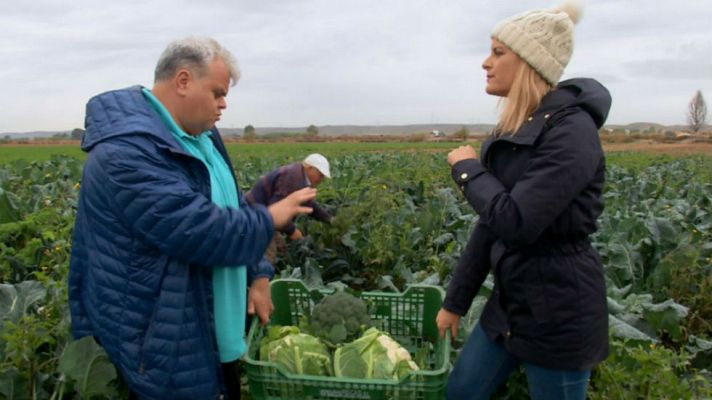 Aquí la Tierra - Crucíferas, reinas del frío