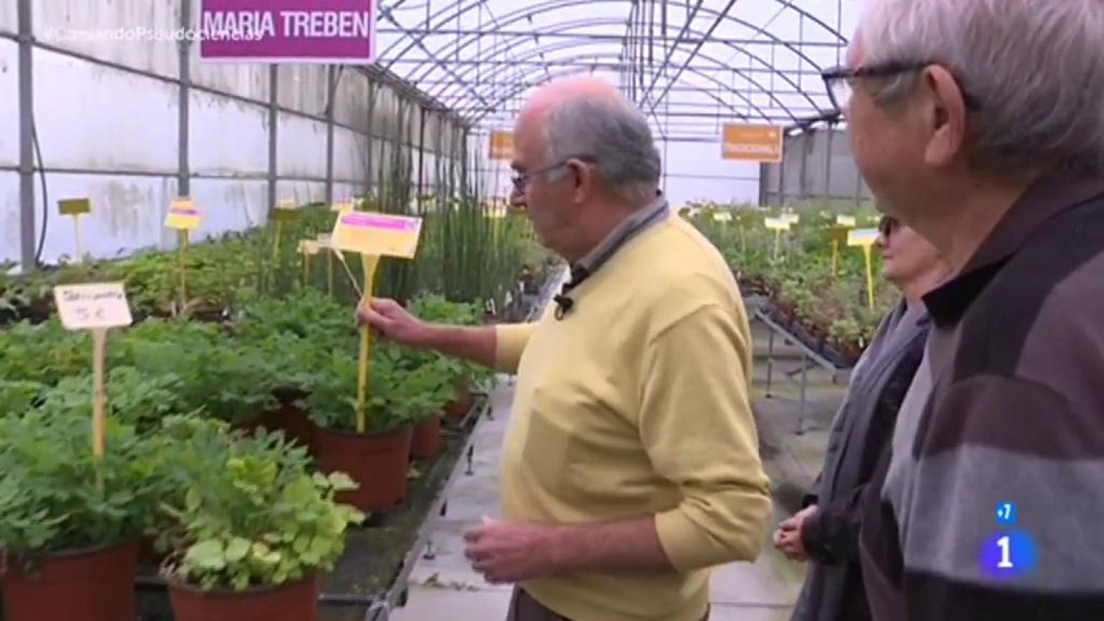 Comando Actualidad - Pseudociencias - Plantas ilegales