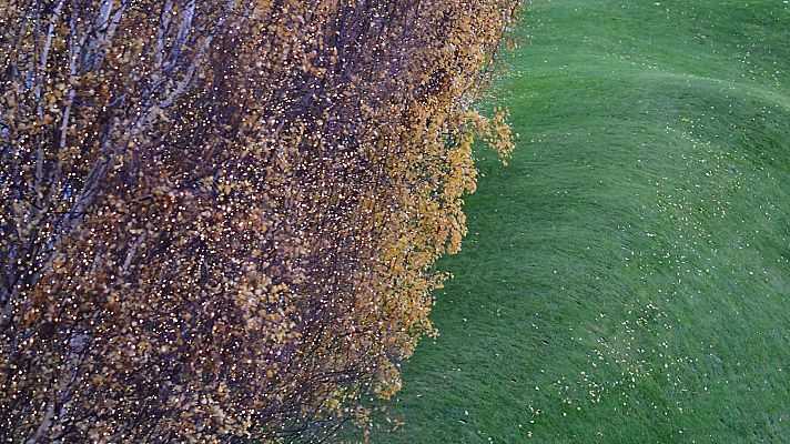 Informativo de Madrid - El Tiempo en la Comunidad de Madrid - 11/12/18