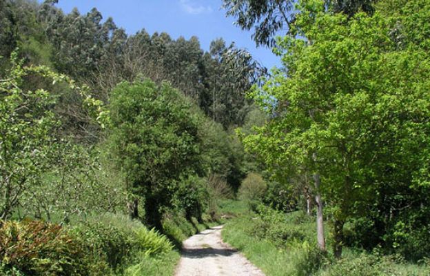 Informe Semanal - Tierra de peregrinos