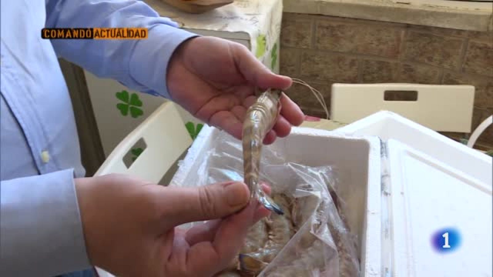 Comando Actualidad - De mariscada - Avance