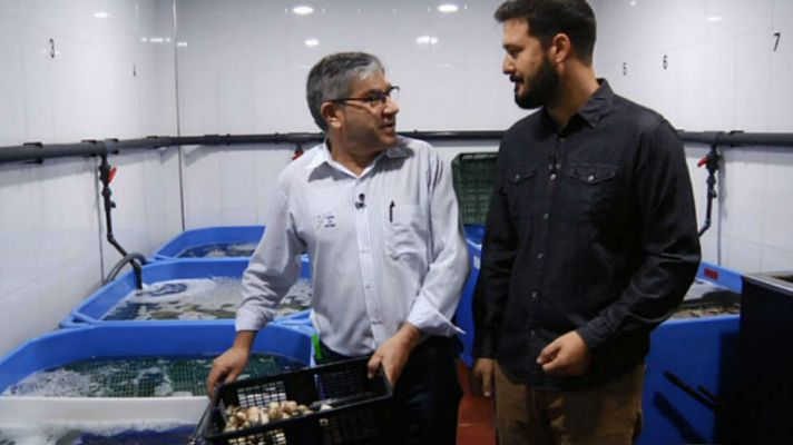 Aquí la Tierra - El mar es una boutique