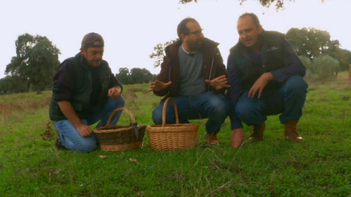 Aquí la Tierra - Más vale perdonar una seta en la vida