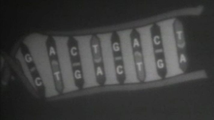 La prehistoria del futuro - La vida en un tubo de ensayo