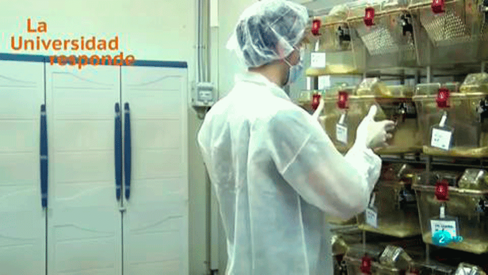 La Universidad Responde. Universidad Autónoma de Barcelona: ¿Por qué usamos animales en la investigación en biomedicina?  La aventura del saber