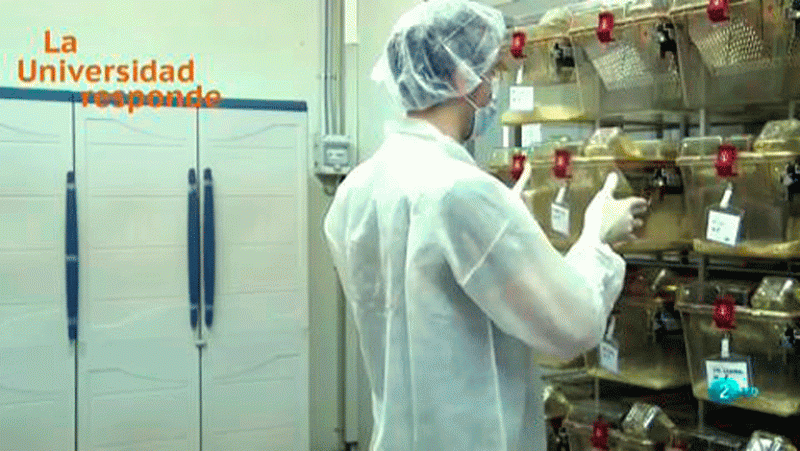La Universidad Responde. Universidad Autónoma de Barcelona: ¿Por qué usamos animales en la investigación en biomedicina?  La aventura del saber