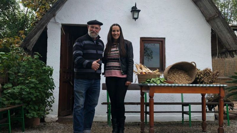 Un huerto lleno de cacahuetes