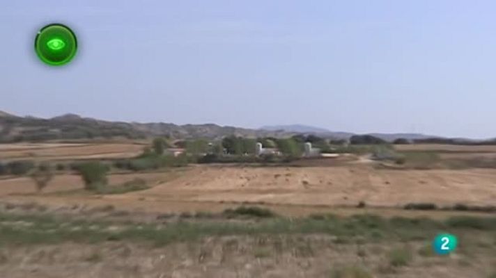 Agrosfera - Porcino Aragón