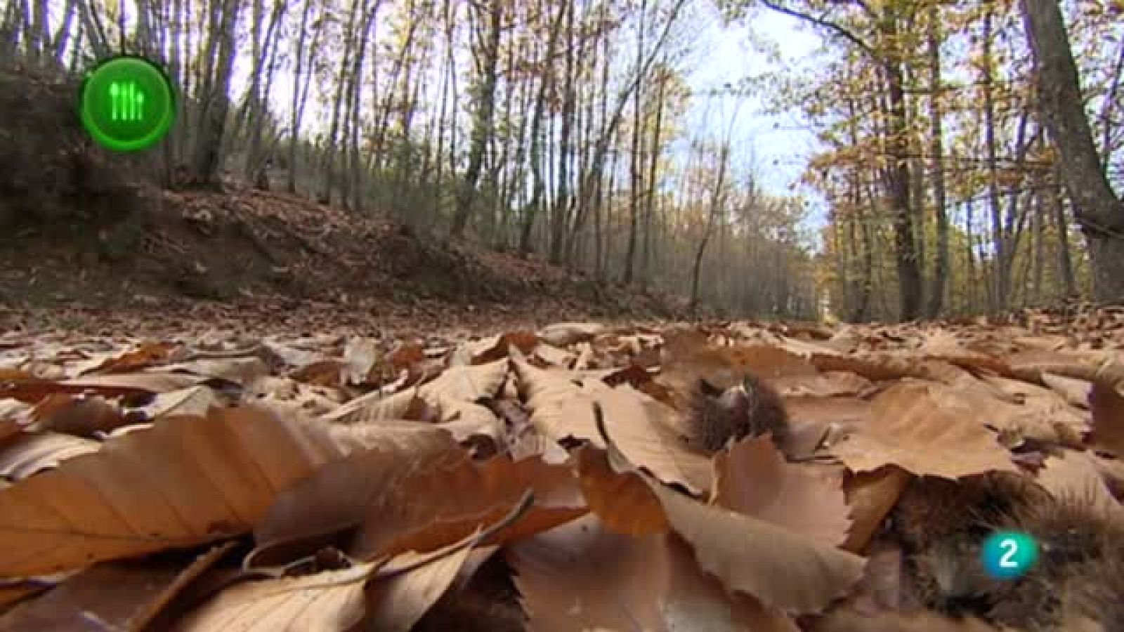 Con mucho gusto, Castañas