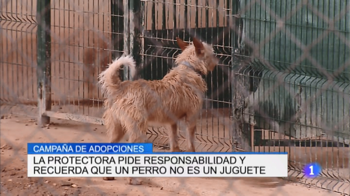 Informativo Telerioja - Informativo Telerioja - 17/12/18