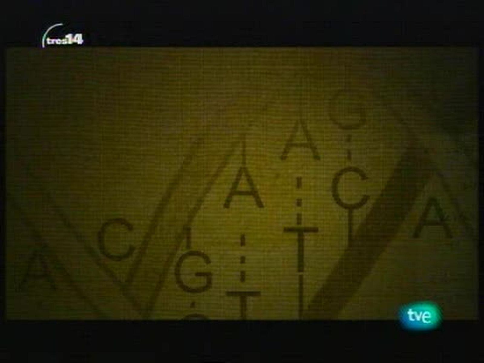 Los mecanismos genéticos de la evolución (Darwin)