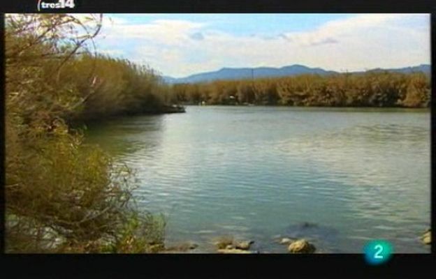 tres14 - Últimas noticias