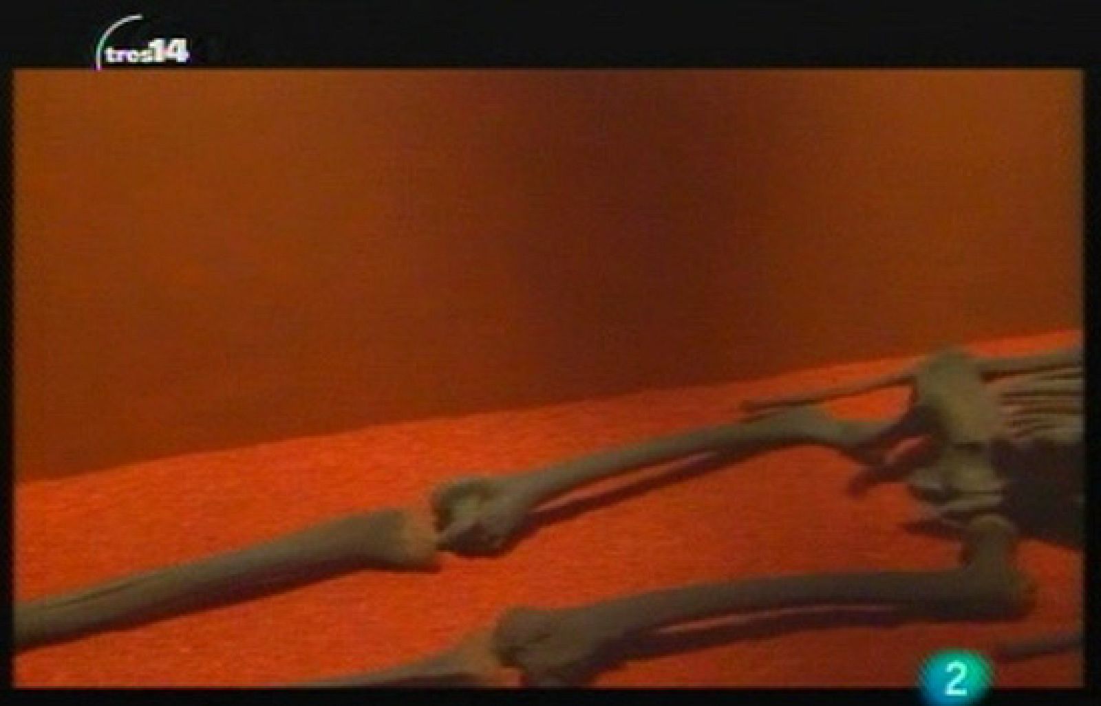 Eslabones perdidos (Darwin)