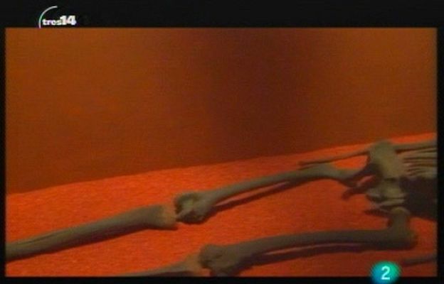 tres14 - Eslabones perdidos