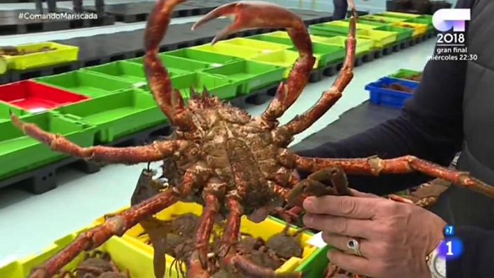 Comando Actualidad - De Mariscada - Centollas y nécoras en Ribeira